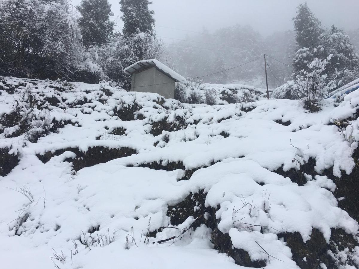 Lacliff Nature Homestay Dhanaulti